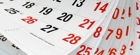 Календарь предпринимателя на февраль 2025 года.