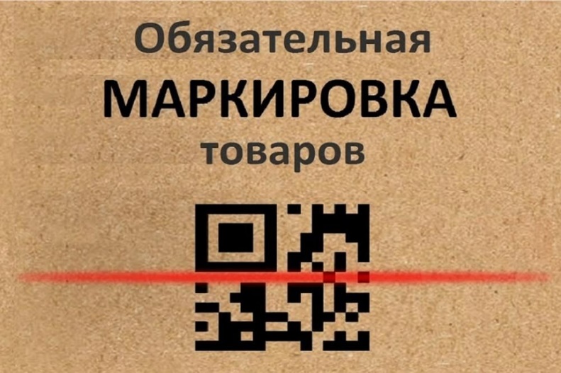 В рамках V форума «Дни предпринимательства в Красноярском крае».