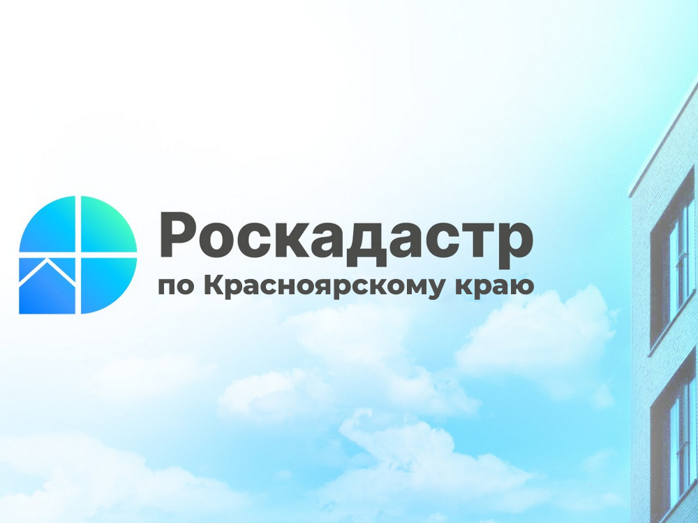 Информация деятельности подведомственного Росреестру филиала ППК «Роскадастр».