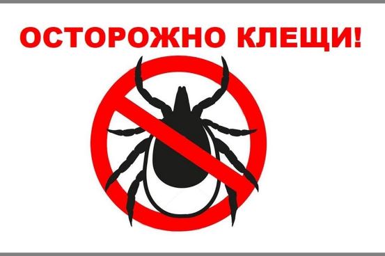 Осторожно, клещи!.