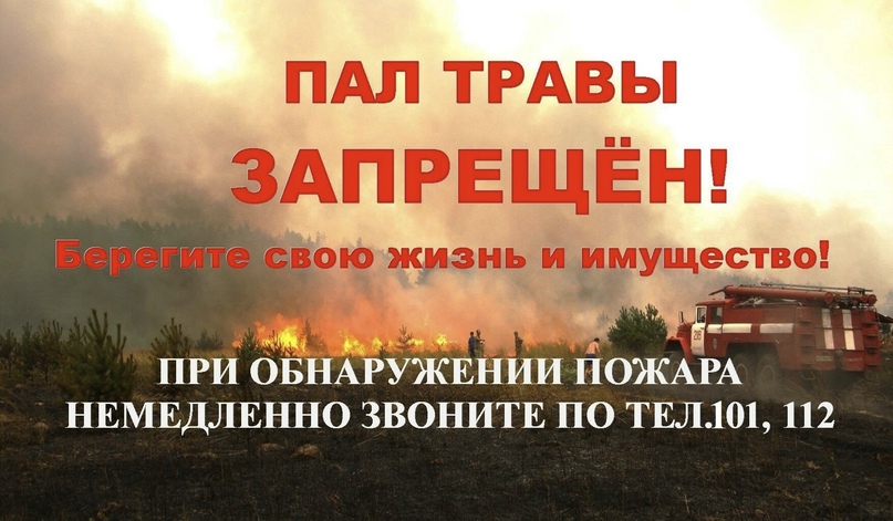 Берегите природу и себя — не допускайте пожаров!.