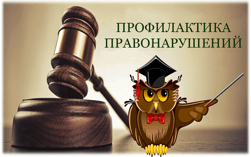 Профилактика правонарушений и укрепление общественного порядка и общественной безопасности.