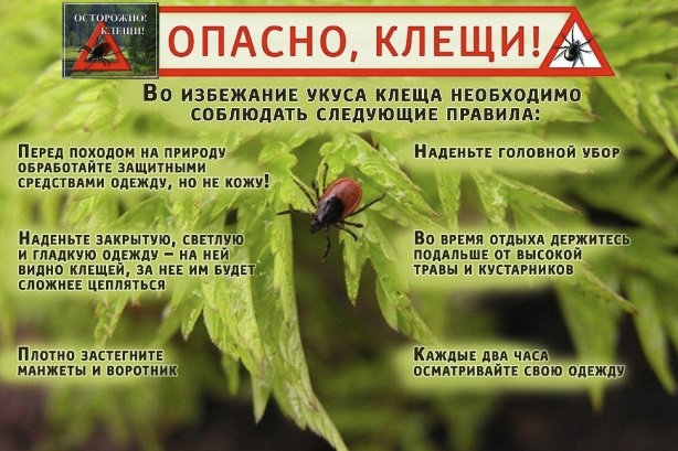 Осторожно, клещи!.