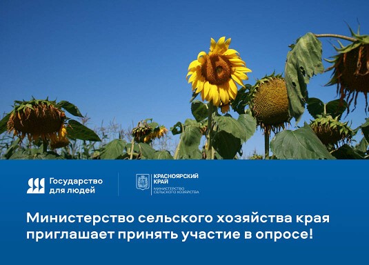 О проведении опроса.